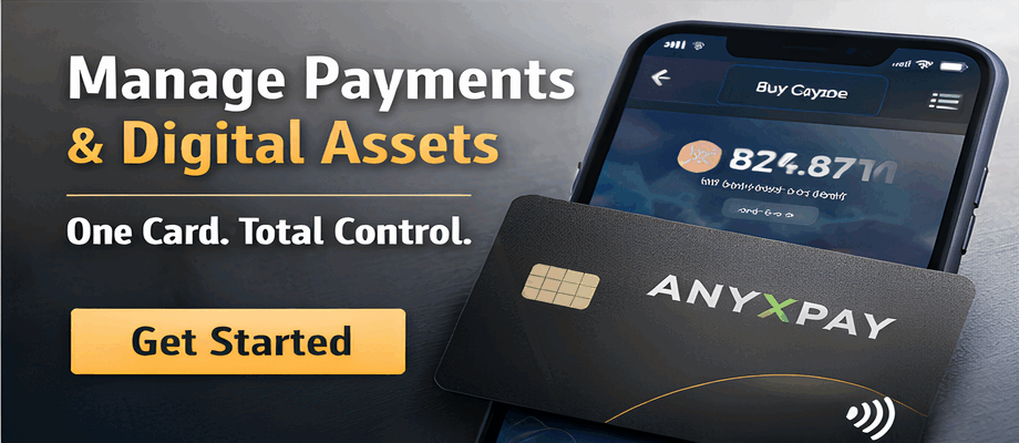 Partner Offer — AnyXPay